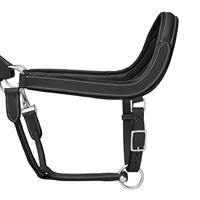 Muestra gratis nueva llegada caballo ecuestre personalizado montar cuero caballo Halter occidental personalizado seguridad cabeza de caballo Collar