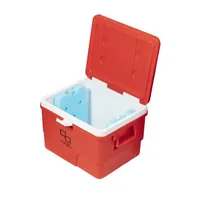 Glacière isotherme Tan90 de 25 litres à motif géométrique, étanche, en plastique, pour le stockage alimentaire, exportation indienne, facile à transporter, pour fleurs et tofu