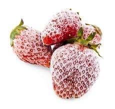 Fresas Congeladas Premium VDELTA |   Fruta Roja Natural |   Exportación a Granel OEM Vietnam - Product Image 4