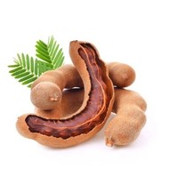 Wild Tamarind Poeder Extract Natuurlijk Zuur Fruit Voedingsmiddelkwaliteit Drank Functioneel Voedsel Groothandel OEM Leverancier Siammit Merk
