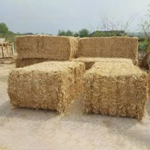 Nuevo Extracto Natural Vitamina E Precio 50 Grado alimenticio para piensos para Comer animales a precio barato - Product Image 4