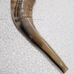 Corne de bélier Shofar écologique polie style animal corne d'Israël de haute qualité de l'Inde fournisseur en gros en vrac - Product Image 1
