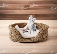 Joli nouveau lit rond en osier pour animaux de compagnie intérieur/extérieur écologique fabriqué à partir de tabouret en jacinthe d'eau en bambou pour chats domestiques