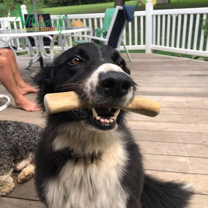 Madera de café 100% natural Palo de madera para masticar para mascotas, alivia el estrés, alivia el ocio de las mascotas, sin conservantes Vietnamita hecho a mano - Product Image 4