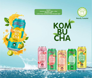 โรงงานผลิต OEM ODM ราคาโรงงาน น้ำคอมบูชา RTD รสกีวี เมลอน แอปเปิ้ล น้ำผลไม้หมักธรรมชาติ เวียดนาม 240 มล. 320 มล. น้ำผลไม้และผัก - Product Image 6