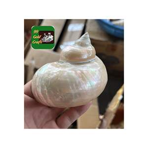 BAGUE DE SERVIETTE EN COQUILLAGE FAIT À LA MAIN AVEC UN DESIGN EN COQUILLE NATURELLE POUR UNE DÉCORATION ÉLÉGANTE DE TABLE À MANGER ET DE BEAUX ARTISANAT CRÉATIFS - Product Image 1