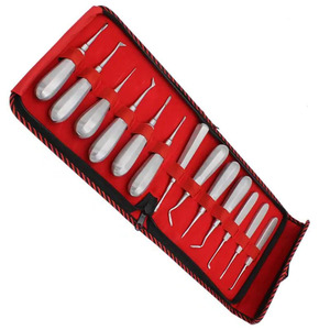 Ensemble d'ascenseurs dentaires en acier inoxydable, 13 pièces, outils d'extraction dentaire, kit de forceps d'ascenseur de racine chirurgicale - Product Image 5