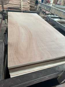 Fomex Greenwood Primera clase E1 Madera contrachapada comercial estándar Núcleo de eucalipto Bintangor Cara/Parte posterior Diseño moderno Precio competitivo 1 - Product Image 5