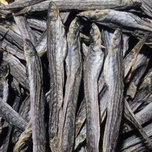 Pescado seco Mudskipper-mariscos de primera calidad de Vietnam - Product Image 6