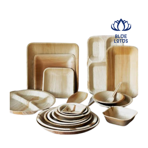 [MEILLEURES VENTES] |   Assiettes jetables biodégradables en feuilles de palmier de 10 pouces, lot de 50, pour camping, fête, Vietnam - Product Image 1