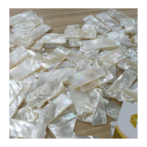 Tranches de coquillage en nacre du Vietnam de qualité supérieure pour la décoration de meubles bijoux incrustation panneaux artisanaux et art mural - Product Image 1