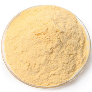 Poudre de papaye séchée Fabricant de poudre de papaye ANGLE - Product Image 6