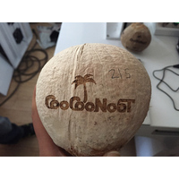 Nouvelle machine de marquage laser CO2 20W pour fruits, noix de coco, format DXF/DST, facile à utiliser, fonction 3D, refroidissement par air, certifiée CE, pour usage domestique sur table.