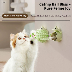 pet products - Product Image 4