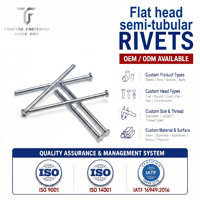 TianFang Rivets Semi-Tubulaires à Tête Plate OEM pour Machine Industrielle, Certifié IATF 16949