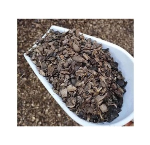 Cáscara de Nuez de Palma para Energía Renovable, Combustible de Biomasa Sostenible, Venta al por Mayor en Alemania para Calderas - Product Image 6