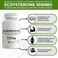 Complément Alimentaire Anabolisant Naturel OEM, Mélange Musculaire, Capsules d'Ecdystérone 500mg, Favorise la Force, l'Endurance et la Croissance Musculaire, 90 Capsules Végétales