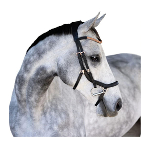 All Purpose Custom Made Imported Quality Horse Leather Bridle Smart Lumiere <b>Equestrian</b> Aria Anatomic Leather Bridle - Product Image 1