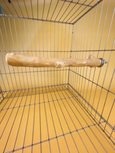 Cà phê GỖ CHIM cá rô gỗ tự nhiên đứng cho Vẹt và chim nhỏ | TH Global Việt Nam - Product Image 6