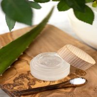 Gel d'aloe vera 100% naturel, biologique, hydratant, apaisant, éclaircissant, anti-acné, anti-rides, soin de la peau quotidien pour le visage et le corps