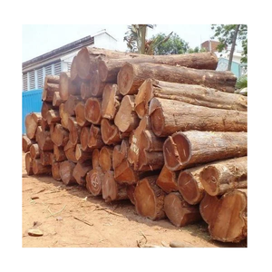 Troncos de madera Meranti secados al horno Varios tamaños Categoría de producto natural - Product Image 3