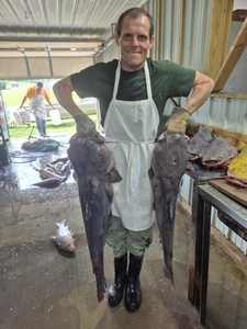 Bagre Congelado IQF de Calidad Superior con 12 Meses de Vida Útil, Fabricante E$T, Venta al por Mayor Bajo Demanda - Product Image 6