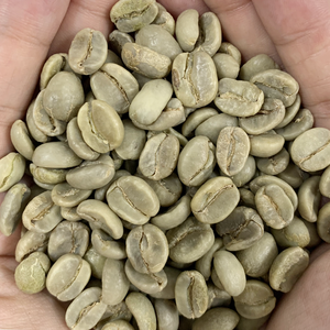 Grains de café vert Arabica de ferme unique du Vietnam, procédé lavé, haute qualité, non torréfiés, service OEM/ODM - Product Image 2