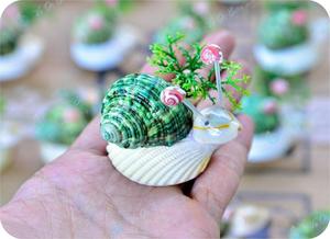 Adorno de conchas marinas naturales hecho a mano al por mayor, varias formas y estilos para decoración del hogar, regalos y recuerdos - Product Image 6