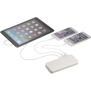 Batería Externa Personalizada de 10000mAh para Linternas y Dispositivos de Respaldo - Product Image 5