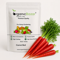 Sachets de carottes rouges à pollinisation libre OEM d'usine avec étiquette personnalisée et code-barres pour l'emballage de carottes de marque Garden