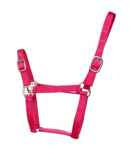 Type de grain de licou imprimé cheval peau de vache - Product Image 1