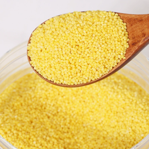 Hight Quality New Crop Wholesale Xiaomi <b>Millet</b> For Wholesale - Product Image 3