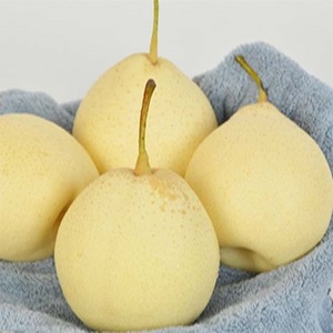 Vente chaude Fresh Ya Pears Juicy et Sweet avec saveur naturelle au prix de gros - Product Image 5