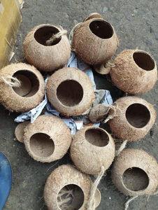 Nid d'oiseau en coquille de noix de coco de haute qualité pour décor de jardin disponible maintenant - Product Image 2