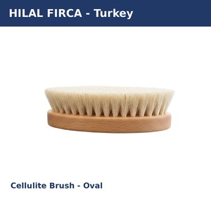 Brosse de bain anti-cellulite moderne, écologique, ovale, en bois, à poils naturels, pour gommage à sec et massage, vente en gros - Product Image 2