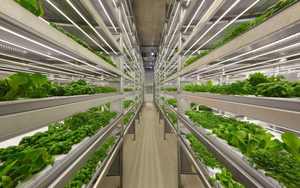 โรงงานปลูกพืชแบบไฮโดรโปนิกส์ในตู้คอนเทนเนอร์ขนาด 40 ฟุต ระบบการเกษตรอัจฉริยะ ONE-ONE - Product Image 4