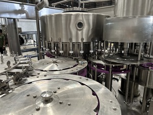 Máquina completamente automática RFC de enjuague, Archivadora y taponadora 60 BPM - Product Image 1