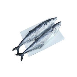 แพ็คสุญญากาศปลาแซลมอนแช่แข็งทั้งตัวคุณภาพสูง1กก. ต้นกำเนิดของแคนาดา - Product Image 6