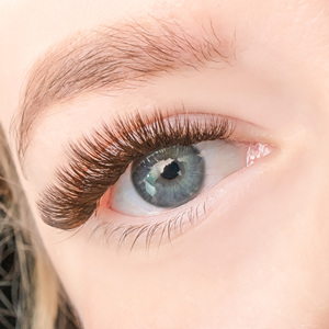 Cils en éventail de volume russe, brun forêt, sans cruauté, extensions de cils colorées, cils bruns en gros - Product Image 6