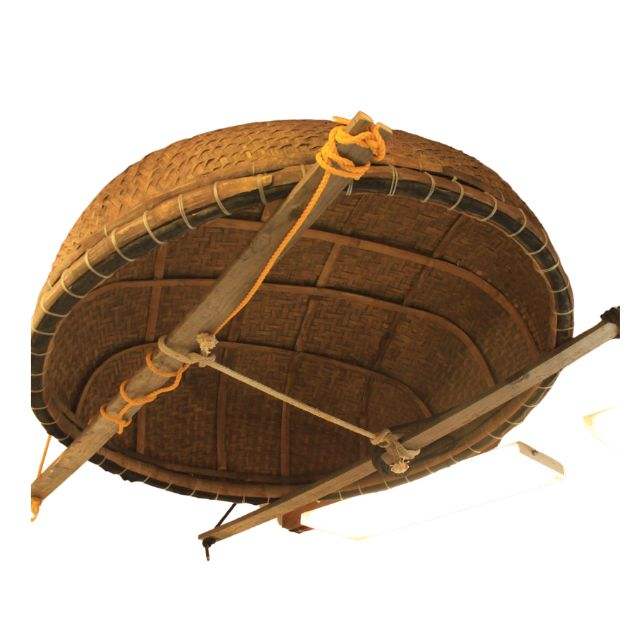 สีน้ำตาล