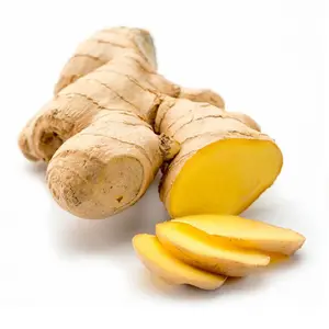 Best quality Best factory Fresh Ginger Export 2023 FROM Thailand