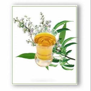 Aceite Esencial Puro de Nirgundi, Vitex Nirgundi, Uso Herbal Ayurvédico, Aromaterapia, Masajes, Cuidado de la Piel, Cuidado del Cabello, Aclarante, 1 kg - Product Image 1