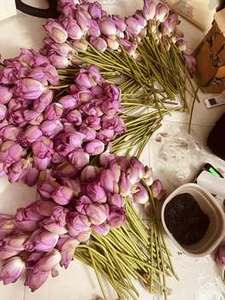 Fleurs de Lotus séchées vietnamiennes naturelles pour la tisane et le bien-être - Product Image 3