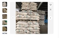 Grains de café torréfiés de qualité supérieure au prix de gros