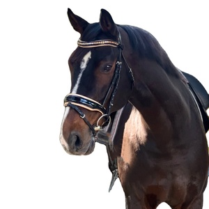 Alexandria Doux Rembourrage Pliable Bride Chevaux Noir Brevet Muserolle Or Rose Passepoil Cuir Nylon Matériel Snaffle Cheval Rose - Product Image 1