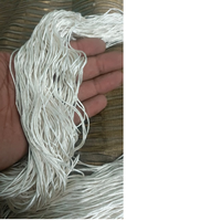 Fils de soie de mûrier à filament naturel sur mesure adaptés aux tisserands et aux filateurs de textiles, idéaux pour la revente