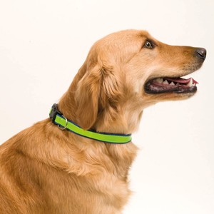 Collar para mascotas Productos para mascotas - Product Image 2