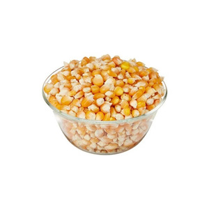 Maíz amarillo de alta calidad ideal para la alimentación animal y la producción de alimentos - Product Image 5