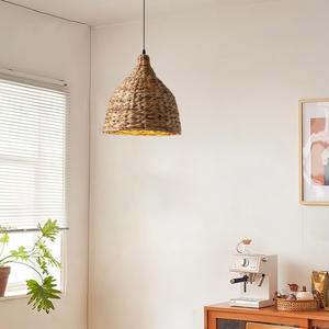 Luces decorativas para dormitorio, candelabro de jacinto de agua, candelabros colgantes ecológicos, cubiertas de lámpara - Product Image 4