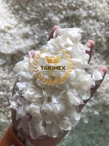 Venta al por mayor de Takimex proveedor exportador fabricante de tilapia seca escamas de pescado ossein descalcificado tipo Vietnam con alta calidad - Product Image 2